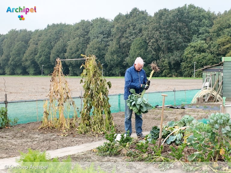 Nieuwe wijk dreigt hobbytuinders uit paradijsje te verdrijven