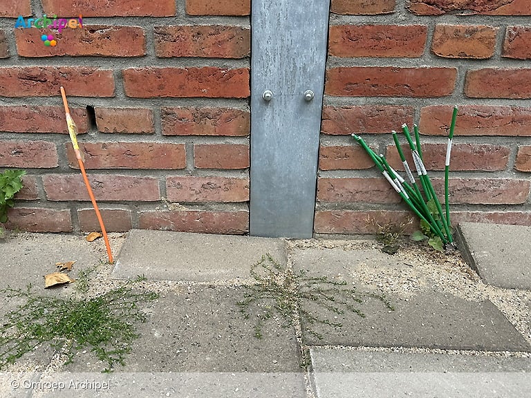 Struikelen over glasvezelkabels op Goeree-Overflakkee