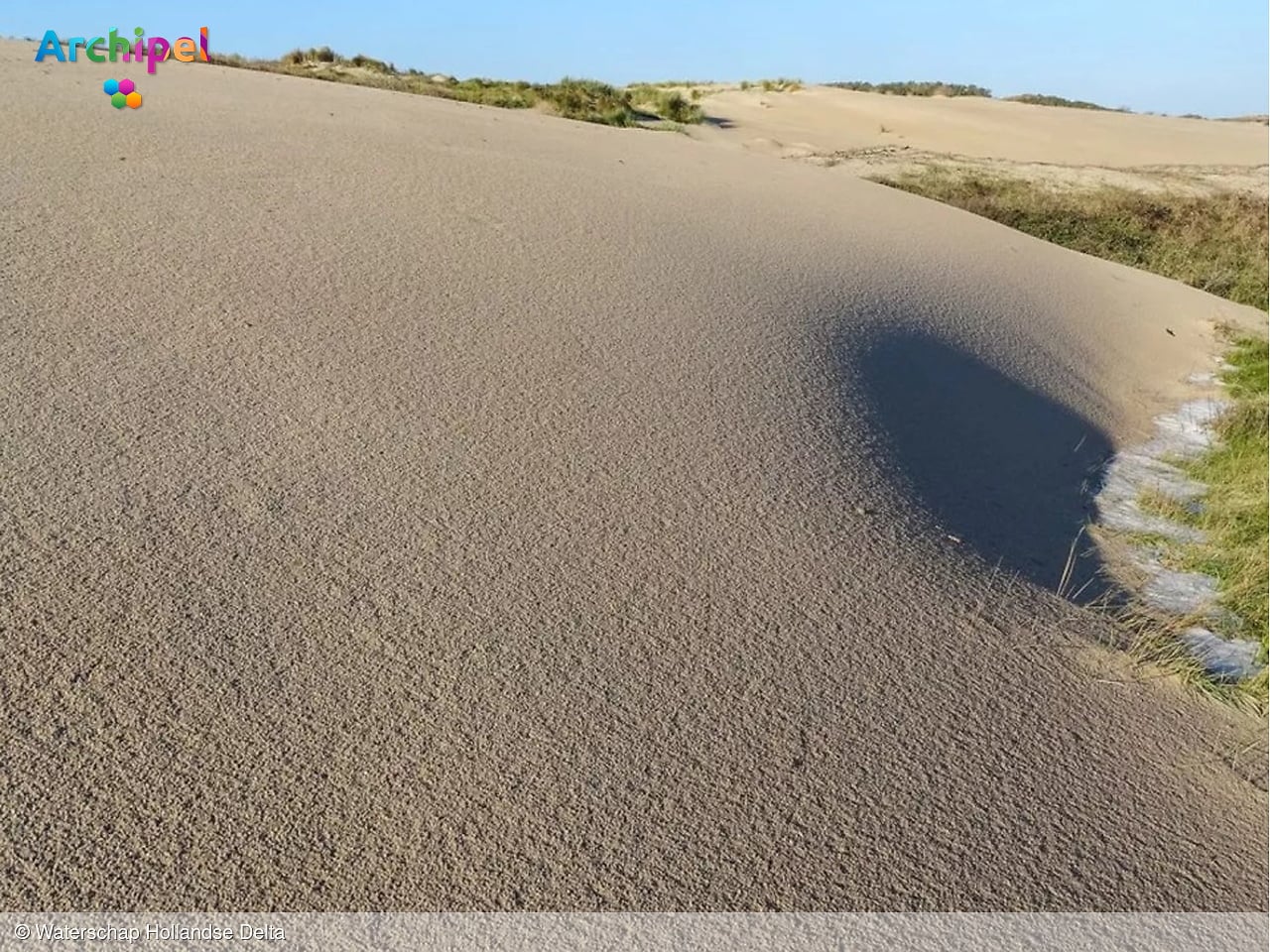 Wind en zand versterken de Springertduinen