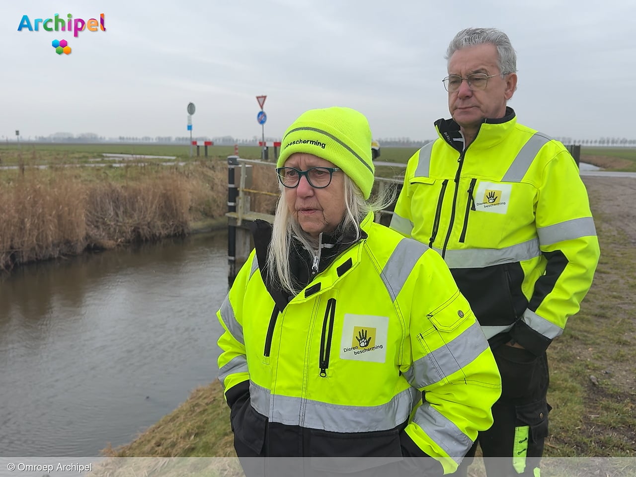 Dode rode kater in jute zak gevonden: "Dit is moord"