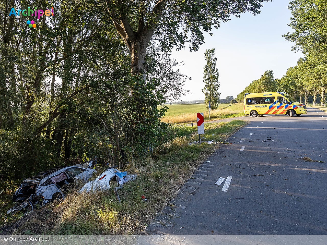 Automobilist aangehouden na botsing tegen boom