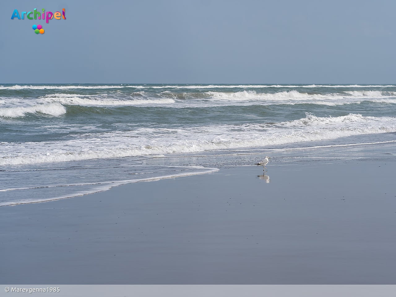 Noordzee kampt met hittegolf en breekt warmterecord