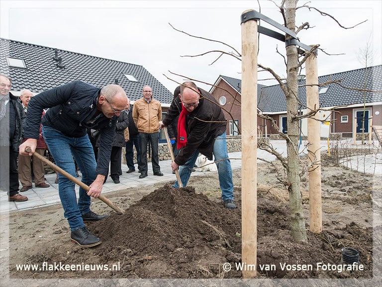 Boom geplant bij nieuwbouwproject Den Bommel