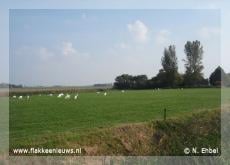Serie: Wel en wee op Goeree-Overflakkee - Natuur en landschap