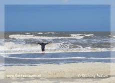 Vitrine van de maand januari: De 'reizende dichters'