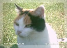 Gevonden en vermiste dieren week 9- 2009