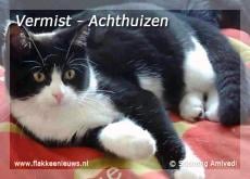 Gevonden en vermiste dieren week 11- 2009