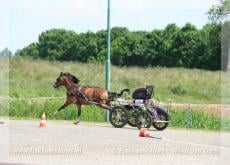 Paard met wagen op hol geslagen