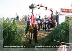 Paard en wagen in de sloot