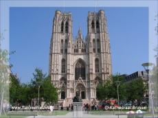 Advertorial: Concertreis naar Brussel met Flakkeese musici