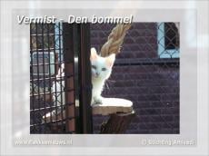 Gevonden en vermiste huisdieren week 47-2010