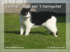 Gevonden en vermiste huisdieren week 49-2010
