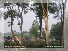 Bliksem treft boom in Middelharnis