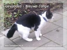 Gevonden en vermiste dieren week 10-2011