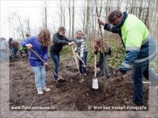 De Pannebakker plant bomen in Nieuwe-Tonge