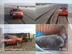 Reddingsbrigade en KNRM gealarmeerd voor zeehond