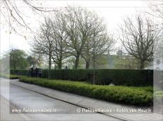 Begraafplaats Middelharnis krijgt nieuwe haag