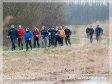 Tulpenwandeltocht bewijst bestaansrecht