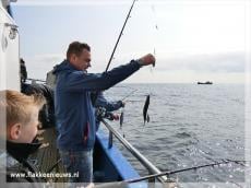Zeesportvisserij vanuit Stellendam