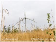 Meer gemeenten aan de slag met windenergie