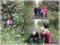 Kleuters Stellegors lopen kabouterpad