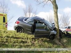 Auto tegen boom bij Den Bommel