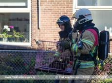 Huisdier overleden bij woningbrand