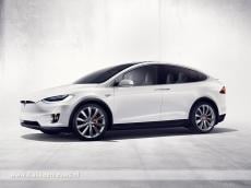 Tesla bezoekt Goeree-Overflakkee