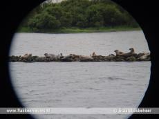 Vaartocht over de Grevelingen