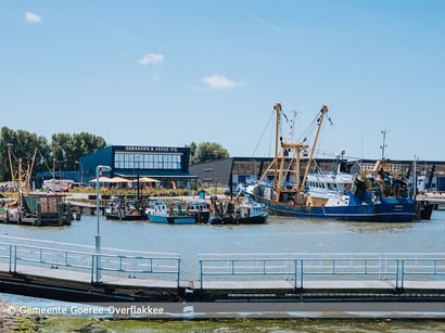 Gemeente Goeree-Overflakkee vraagt uitstel visserijverbod in deel Voordelta