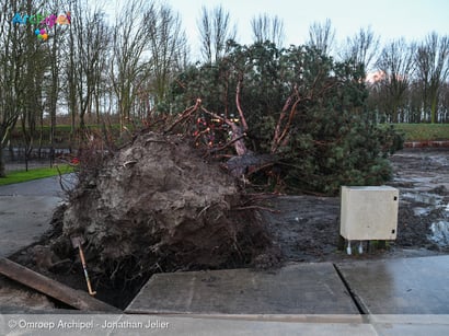 Boom valt om en trekt gasleiding mee