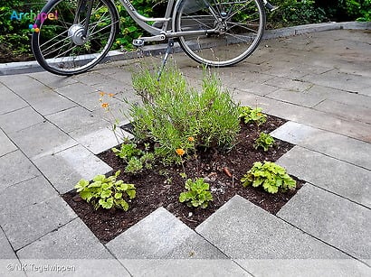 Een moestuintje in plaats van tegels