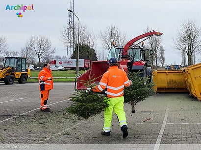 Verdien geld met oude kerstbomen