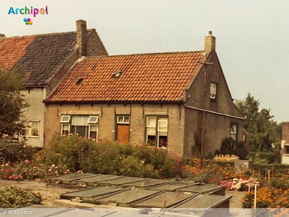 Goud, geweld en de galg op de Kotestee in Ouddorp