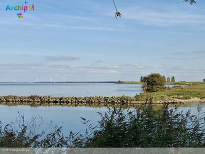 Politiek op donderdag: Waterbeheer en omgevingsbeleid