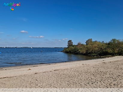 Blauwalg zorgt voor zwemwaarschuwingen op Goeree-Overflakkee