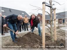 Boom geplant bij nieuwbouwproject Den Bommel