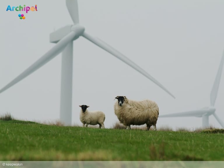 Goedkeuring voor plannen rond 4 miljoen uit Nederwiek-fonds