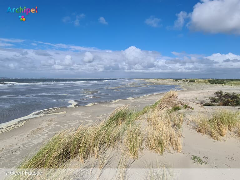 Excursie Het Groene Strand Kwade Hoek