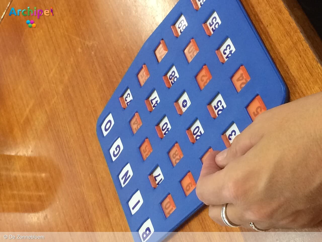 De Zonnebloem organiseert Bingo