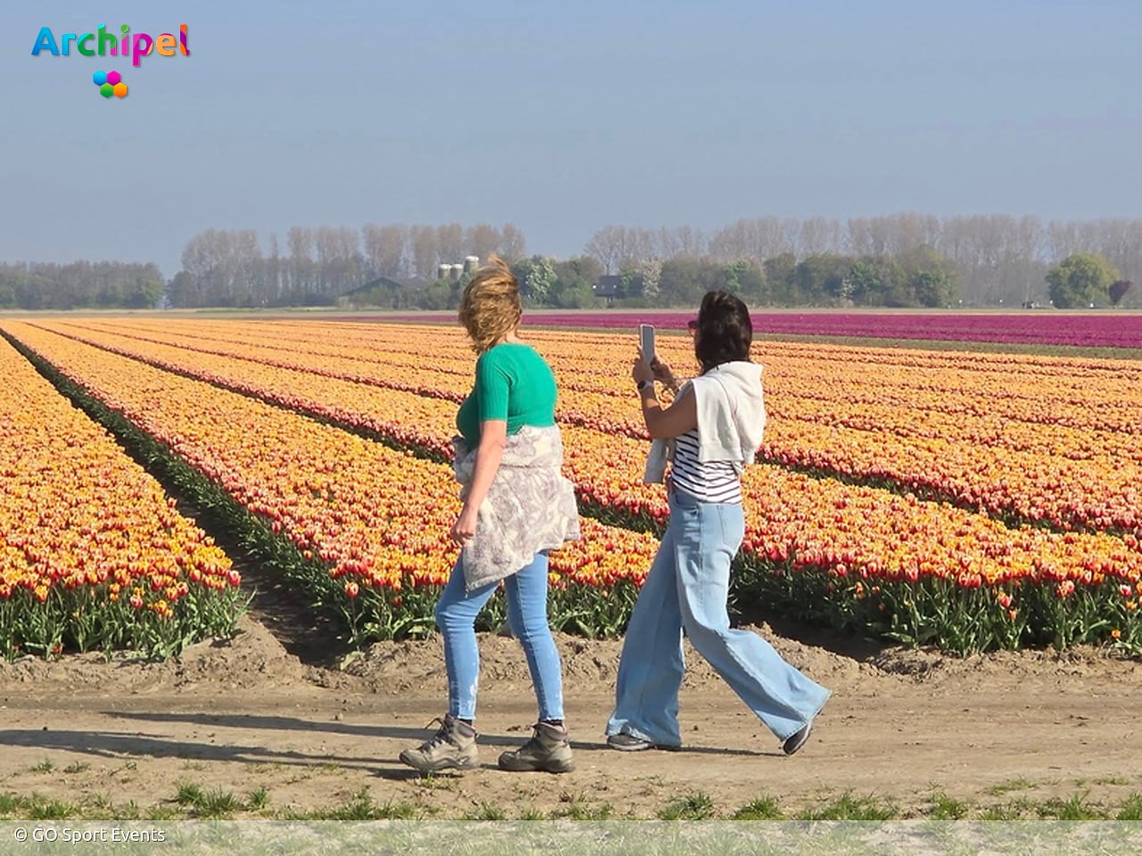Dertiende GO Tulpentocht mikt op nieuw record langs bloeiende polders