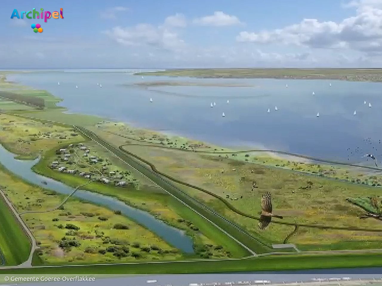 Nieuwe bewoners Heerlijk Haringvliet zelf verantwoordelijk voor natuurgebied
