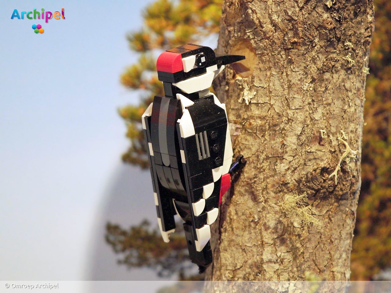 Expositie brengt vogelkunst van twee LEGO-kunstenaars samen in Ouddorp