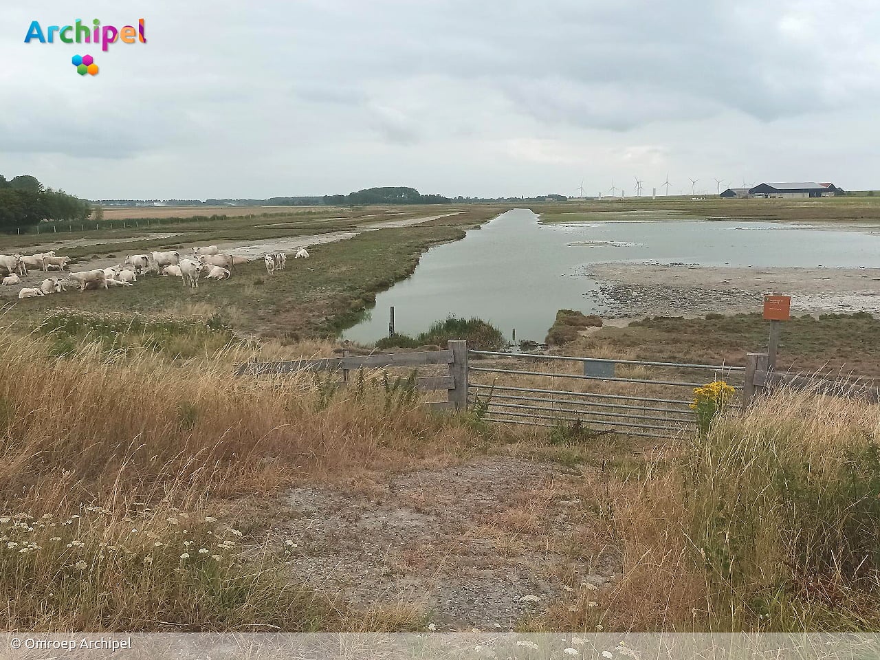 Werkzaamheden zorgen voor hoger waterpeil in natuurgebied bij Herkingen