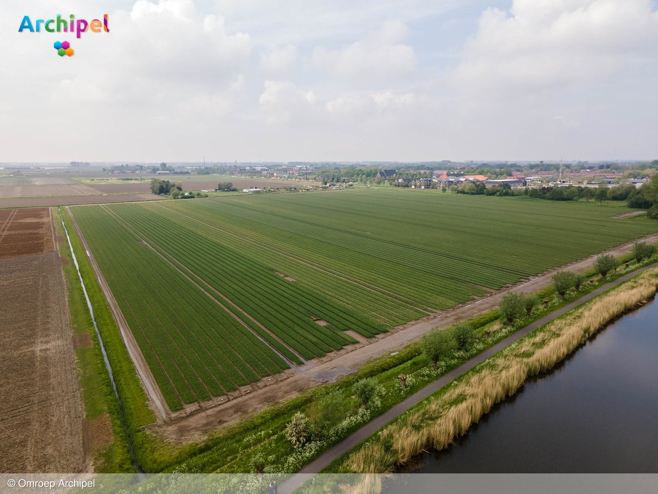 Wat de nieuwe stikstofplannen kunnen betekenen voor Goeree-Overflakkee