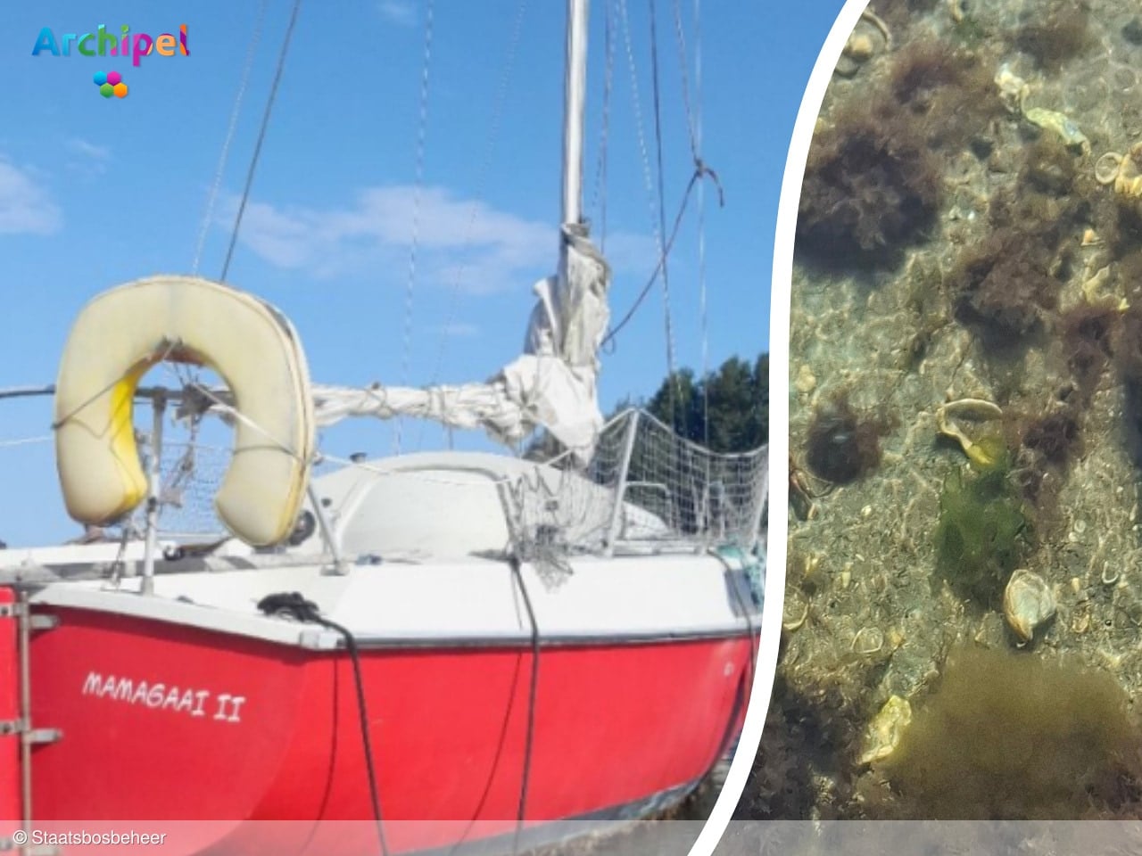 Eigenaar gezocht voor achtergelaten zeilboot in het Grevelingenmeer
