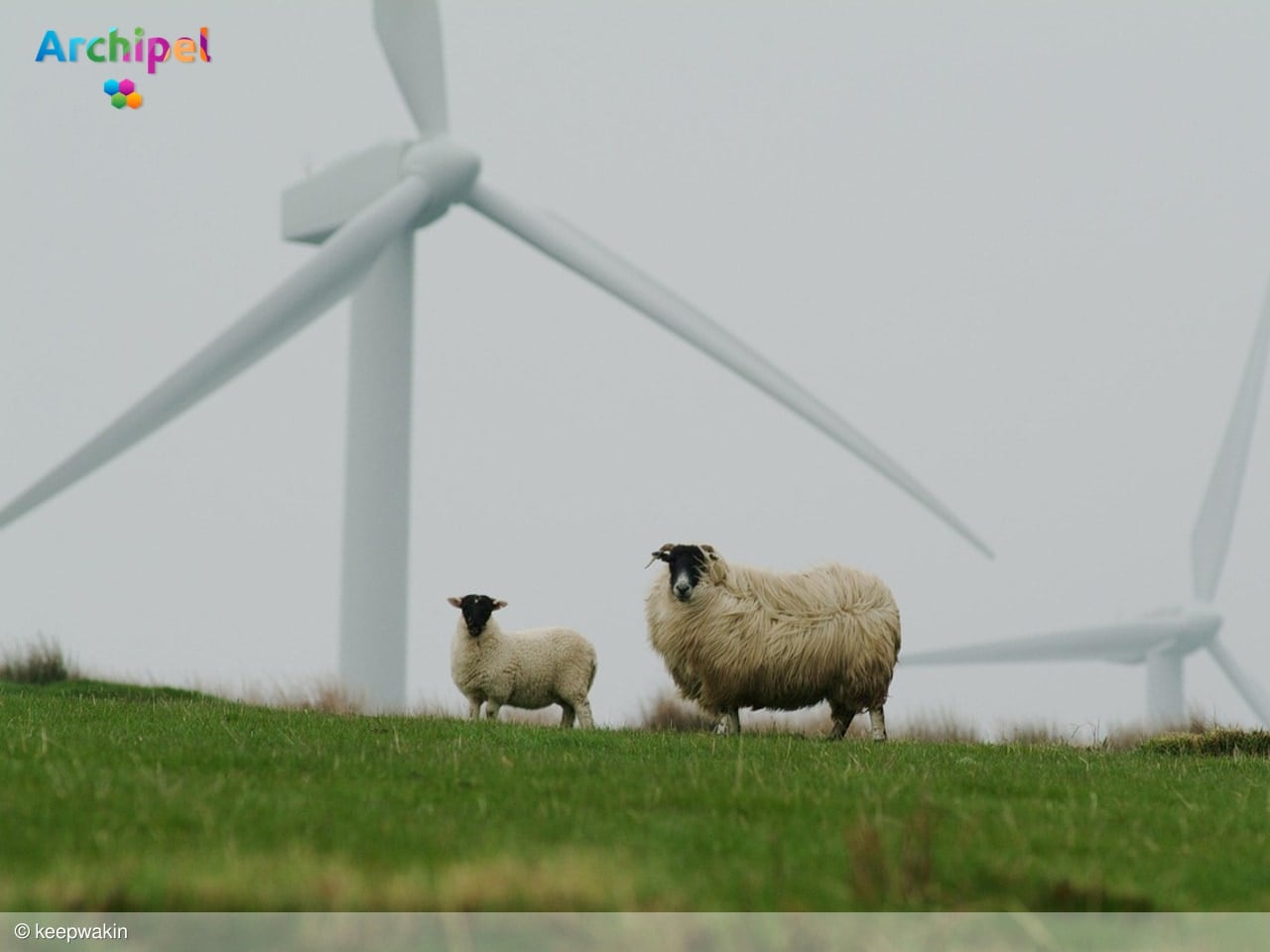 Goedkeuring voor plannen rond 4 miljoen uit Nederwiek-fonds