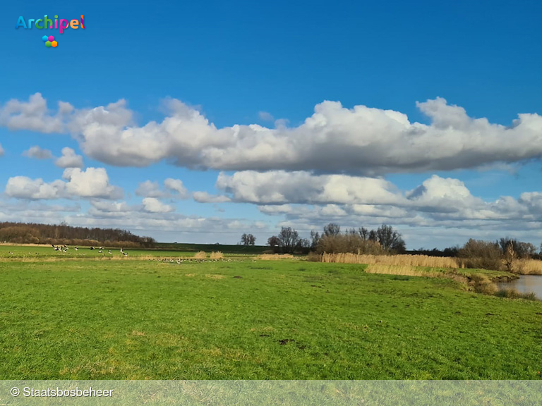 Staatsbosbeheer organiseert voorjaarswandeling door het Groote Gat